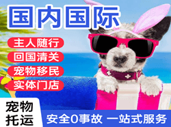 奇台江布拉克航空快运国际宠物托运 【国